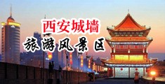 欧美留学强奸操翻中国陕西-西安城墙旅游风景区