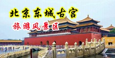 操美女的大鸡巴啊啊啊视频中国北京-东城古宫旅游风景区